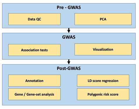 These genomes were first reported here and can be accessed here. . Gwas tutorial github